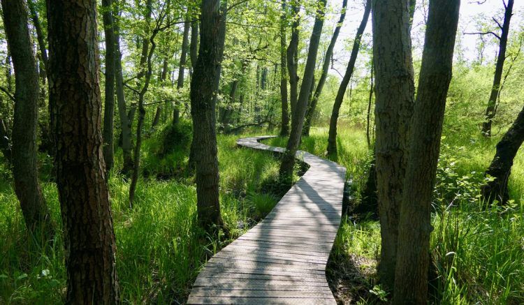 Top 5 losloopgebieden Limburg welkoop